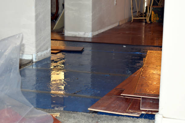 Professional Basement Water Removal technician working in Cornish, ME